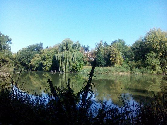 Свято-Троїцький Китаївський монастир